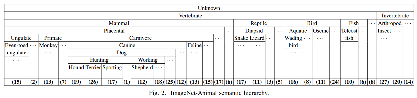 ImageNet Animal Hierarchy